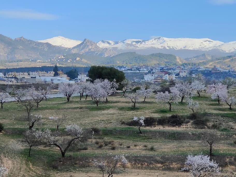 Vila Terracota, Lujo En Y Sierra Nevada Granada
